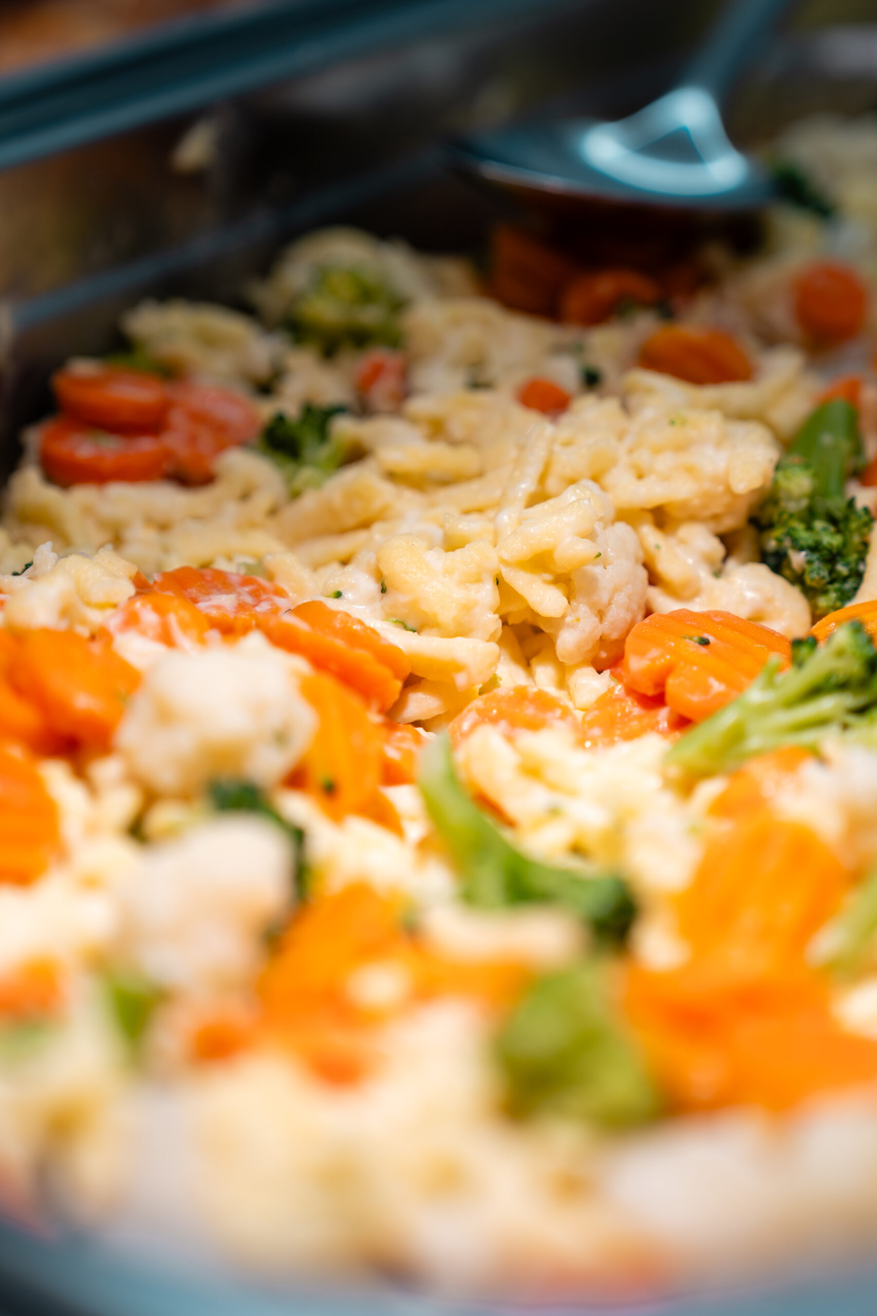 Gesamtschule_Schlebusch-184